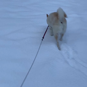 つもったよの画像