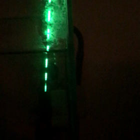 夜のドボン専用？の画像