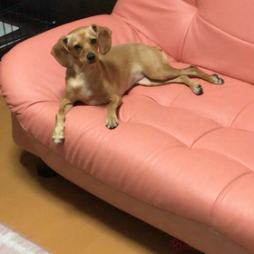 ☆相談☆の画像