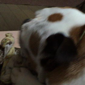 一人遊びの画像