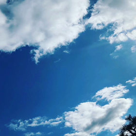 ライブが決定しました！の画像