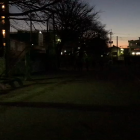 川越小 走り幅跳び練習(照明有り)⑥の画像