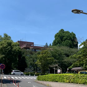 ”ぱるる、、、恐るべし、、、”   2014年06月08日の画像