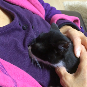 ふみふみちゅぱちゅぱの画像