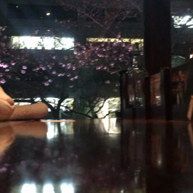 3月30日の桜。の画像