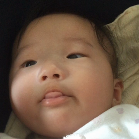 (　 Д )　⊙ ⊙の画像