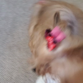 あれ？？？の画像