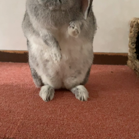 初体験☆の画像