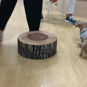 次は伏せです。の画像