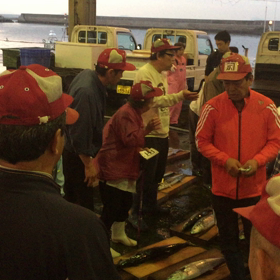 鰆が600本⁉︎の画像