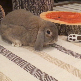 それにしても…の画像