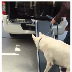 スロープの画像