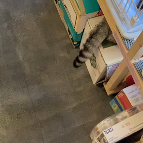 秘密の場所の画像