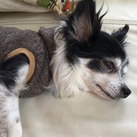 モアナの現状の画像