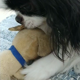 いつかの息子の画像