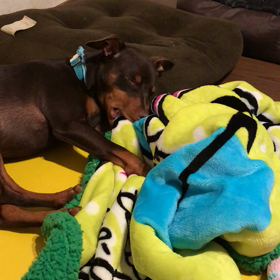 ハッピーバースデーキラの画像