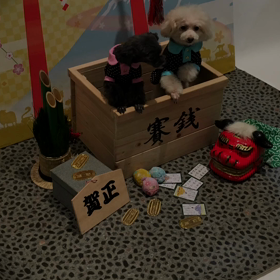 キャンミルムービーの画像