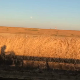 こんなシーンを思い出し…の画像