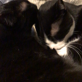 大好き！の画像