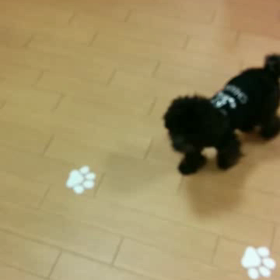 ペットホテルから♥︎の画像