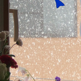 大雪の画像