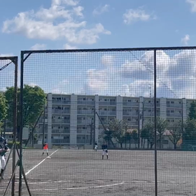 隼の試合の画像