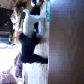 静かな時間の画像