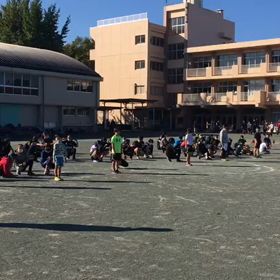 学年別インターバル①の画像