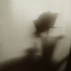 紙遊びスヌーピーと黄色い薔薇・動画の画像