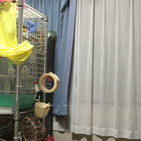 食事中はの画像