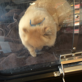 ⬛️4/5〜4/11＊酸素カプセルご利用のお友達⬛️2の画像