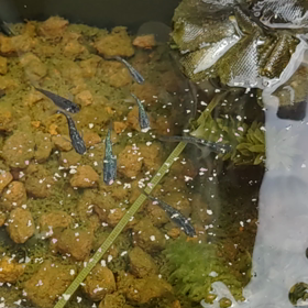 気分転換をしてもしても足りない感の画像