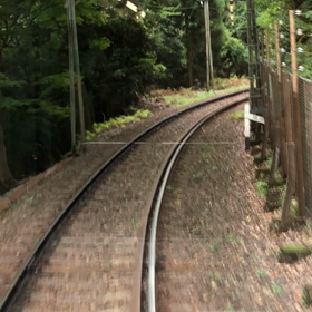 緑が大好きの画像