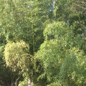 一瞬のぶわぁ！が好きの画像