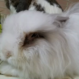 仲良しコンビ。の画像