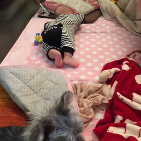 ねない。の画像