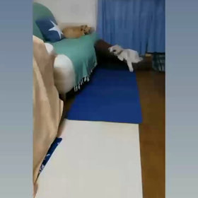 ねむねむTimeの画像