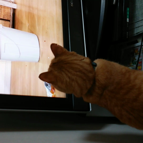 忙しいわの画像