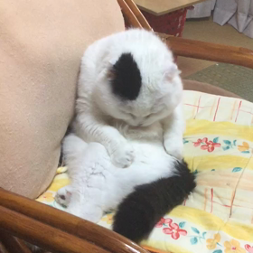 男の身だしなみの画像