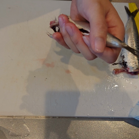 指びらきをする話の画像