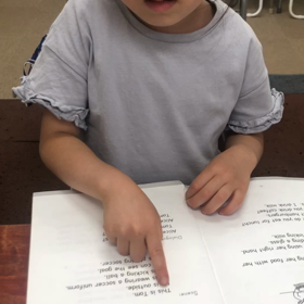 ５歳(年長）入会１年半の成長の画像