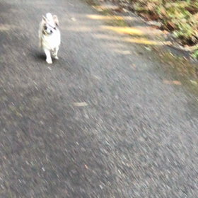 ❣️３月２５日   sora森の中を駆け巡る⁉️の画像