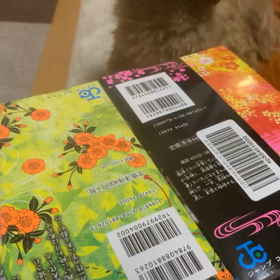 その後色々の画像