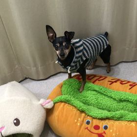 ♪プレイルーム動画♪の画像