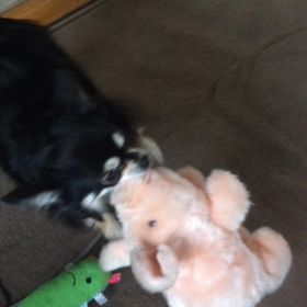 専務VS豚。の画像