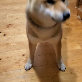 午前二時ですの画像