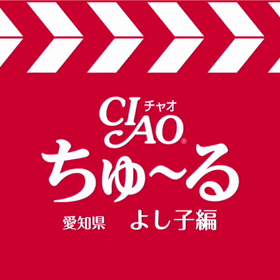 よし子、ちゃおちゅーるに挑戦！(´∀｀*)の画像