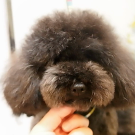 ☆Before⇄Afterシリーズ❤︎みんな可愛く大変身☆の画像