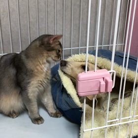 いきなり寒くなりましたねの画像