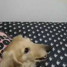 笑顔なとあちゃんの画像